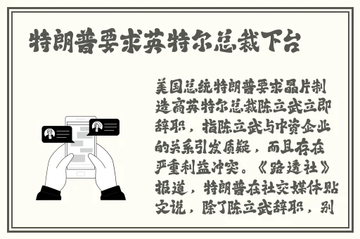 老师的小兔子在衬衫里